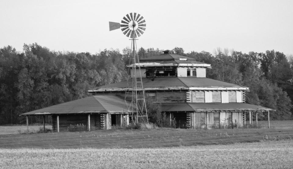 The Cult House  Shutterbug